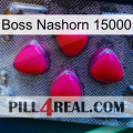 Boss Rhino 15000 13